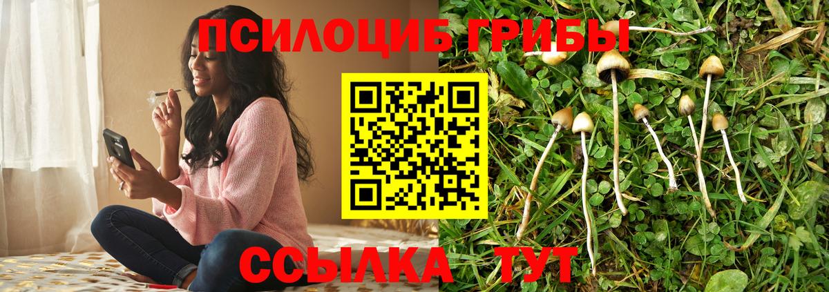 Галлюциногенные грибы мухоморы  Вход с VPN  Луга 