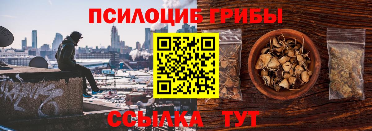 Псилоцибиновые грибы MAGIC MUSHROOMS Луга